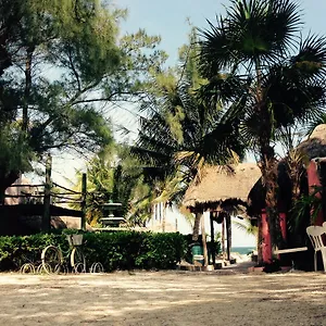 Acamaya Reef Puerto Morelos